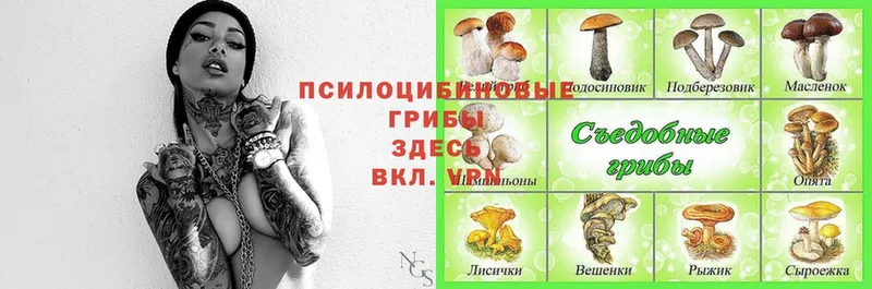 Псилоцибиновые грибы MAGIC MUSHROOMS Чердынь